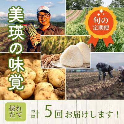 ふるさと納税 美瑛町 野菜の定期便【百合(大)】5回便【令和8年産先行受付!】 美瑛の四季 |  | 01