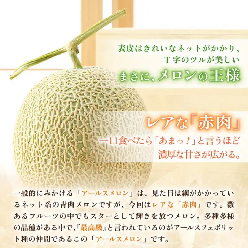 【先行予約】アールスメロン 2玉（約3.2kg以上）赤肉品種 高級メロン！ ／ マスクメロン 大玉 果物 フルーツ 夏 ギフト 農家直送 ※2027年6月下旬以降順次発送 [aw065-a014]