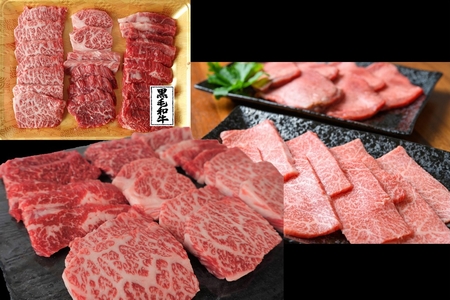 084-16 【全3回】鹿児島黒毛和牛・黒豚堪能焼き肉、スライス、ハンバーグセット定期便