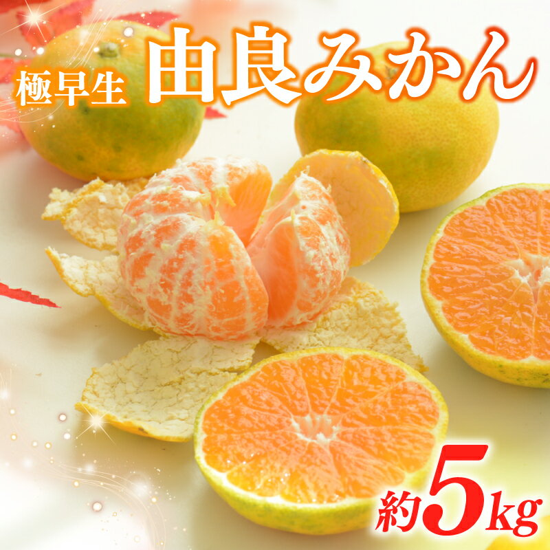 【ふるさと納税】 【先行予約】みかん 由良 5kg 柑橘 ミカン 蜜柑 極早生 フルーツ 果物 甘み 酸味 甘酸っぱい 果汁 旬 くだもの おやつ 果実 早生 おいしい 大石農園 静岡県 牧之原市