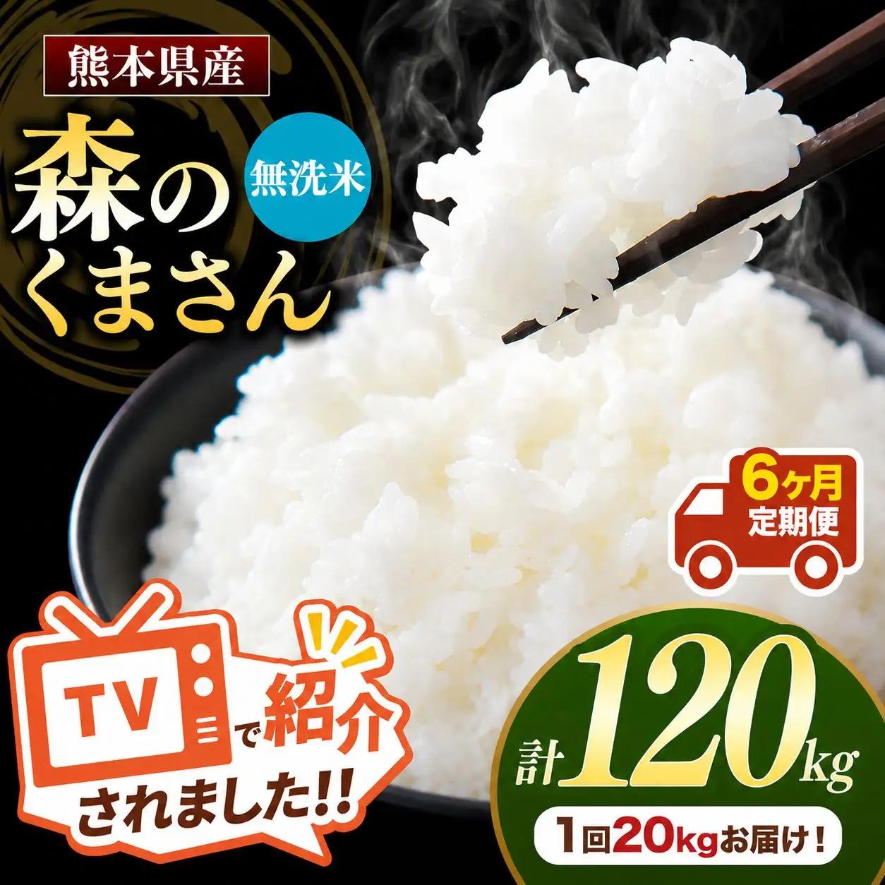 【 定期便 6回 】 R7年産 熊本県産 無洗米 森のくまさん 20kg