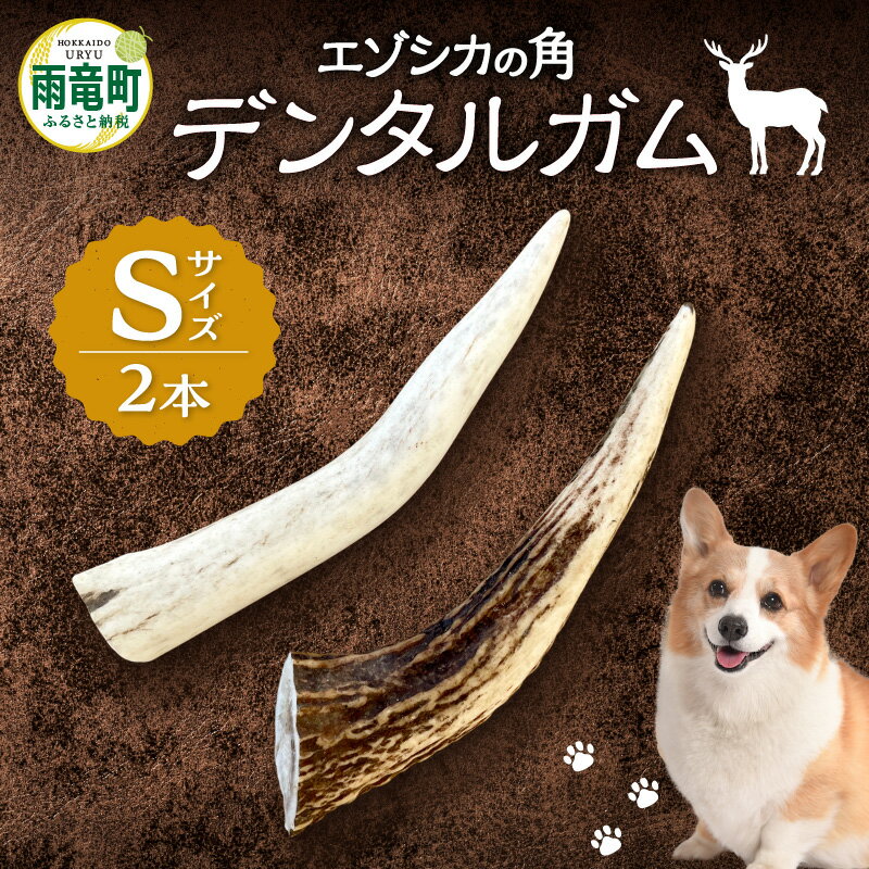 【ふるさと納税】 【数量限定】エゾシカの角 デンタルガム Sサイズ