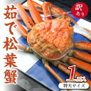 【ふるさと納税】日本海産　ブランド蟹　 茹で松葉蟹 【訳あり】特大サイズ　matubakani1000 ズワイガニ 松葉ガニ 1kg 1000g ボイル 年末 かに カニ 蟹 ブランド蟹 国産 ボイル 高級 訳あり まるごと 大きなカニ 正月 年末 ごちそう 甲殻類 贅沢 ご褒美 京都 丹後 送料無料