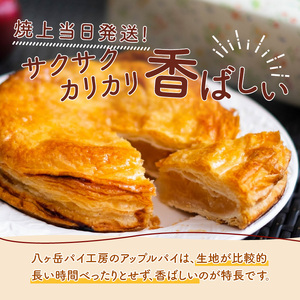  焼上当日発送おいしさ5日間【パイ一筋!八ヶ岳パイ工房】紅玉アップルパイ(21cm)