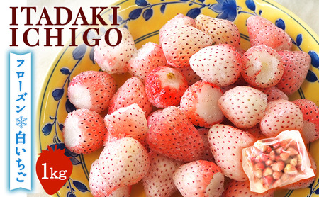 【訳あり】冷凍いちご 白いちご 1kg入り 冷凍 フローズン デザート 白いちご 白苺 イチゴ 果物 くだもの フルーツ 旬のフルーツ 季節のフルーツ 旬の果物 季節の果物 福岡 福岡県 小郡市