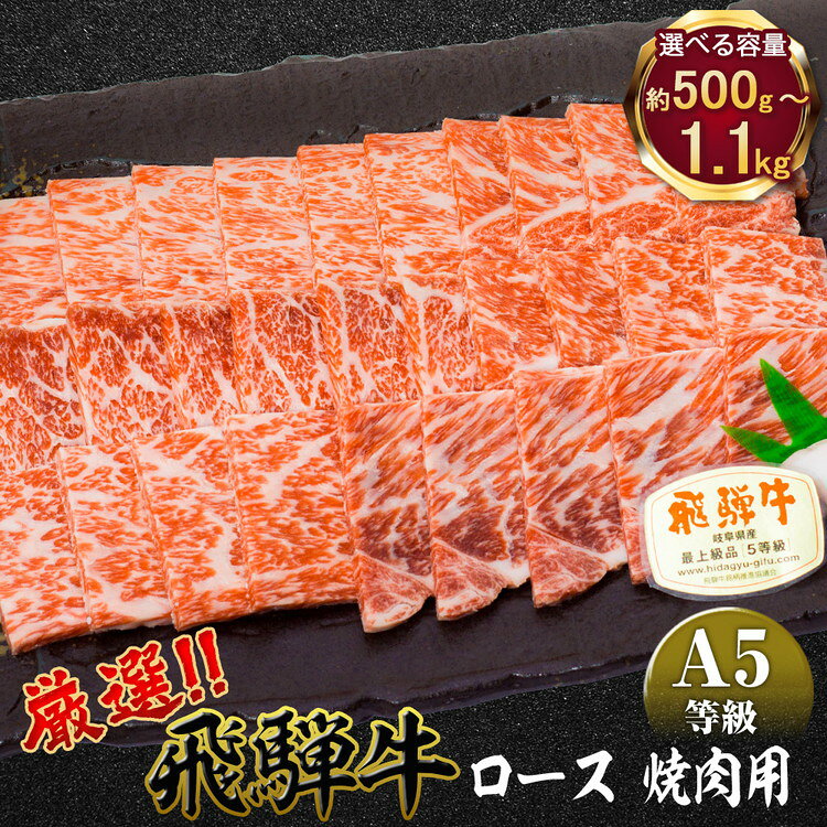 【ふるさと納税】 ＼選べる内容量／ 店主こだわり雌牛 飛騨牛A5等級　ロース　焼肉用　[No.038] [No.065] [No.085] ／ 牛肉 ブランド牛 やきにく メス牛 冷凍 送料無料 岐阜県 特産
