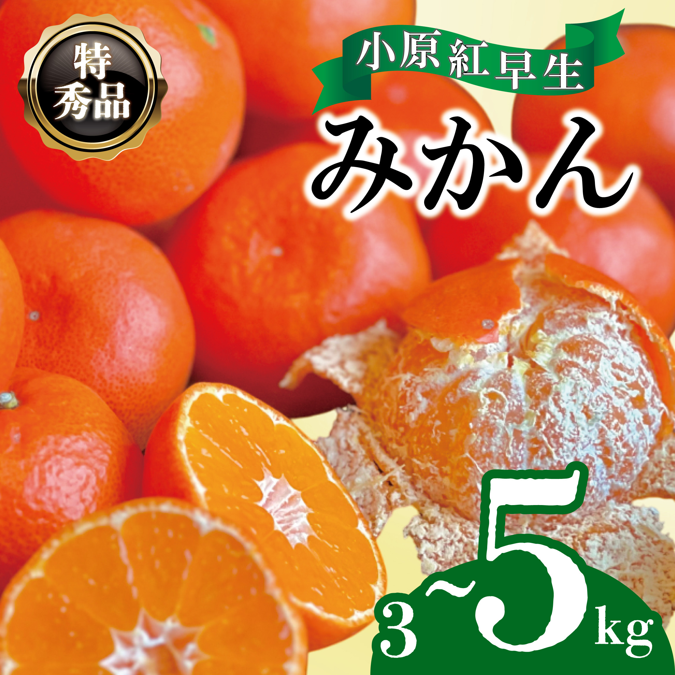 
            【2025年11月中旬より順次発送】【特秀品】みかん 小原紅早生 約3~5kg 真っ赤なみかん 小原紅早生みかん 甘い ミカン 蜜柑 フルーツ 果物 くだもの 柑橘 柑橘類 デザート 旬 産地直送 冬の味覚 旬の果物 旬のフルーツ お取り寄せ 取り寄せ
          