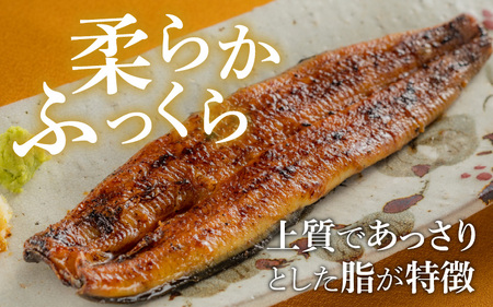 【やなのうなぎ 観光荘】シルクうなぎ蒲焼真空パック 中（105ｇ以上）×１パック