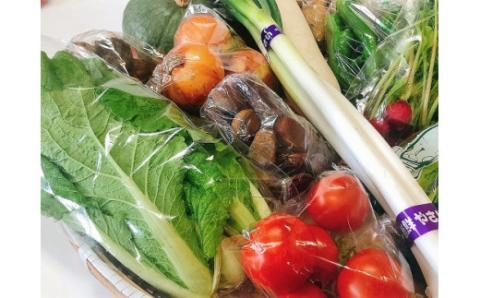 【32001】朝採れ岩美の野菜おまかせセット