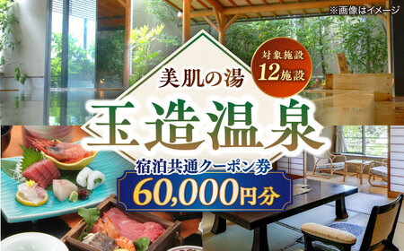 玉造温泉共通クーポン券 寄附額20万円 60000円分クーポン 島根県松江市/玉造温泉旅館協同組合[ALHN003] 温泉 クーポン