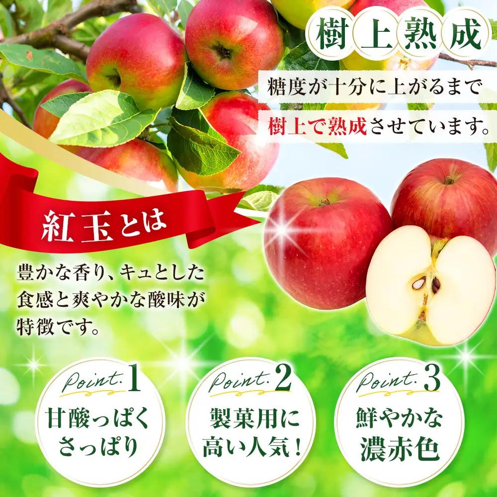 フルーツファーム中村農園　【9月下旬発送 先行予約】樹上熟成　紅玉 5kg | りんご 紅玉  加工用