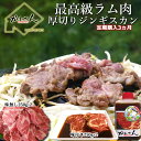 【ふるさと納税】【3ヶ月定期便】味付けジンギスカンとラム肩ロース（各250g×2）セット 【ふるさと納税 人気 おすすめ ランキング ジンギスカン 味付き 味付けジンギスカン ラムロース ラム肉 ラム肩ロース 定期便 北海道 室蘭市 送料無料】 MROA064