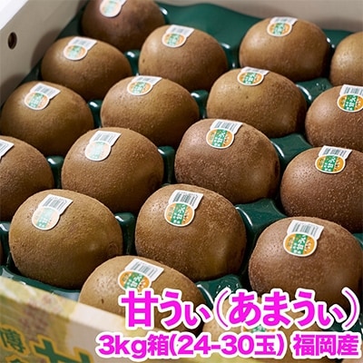 【先行受付】キウイ「甘うぃ(あまうぃ)」約3kg箱(24-30玉)福岡限定!ブランド(宇美町)【配送不可地域：離島】