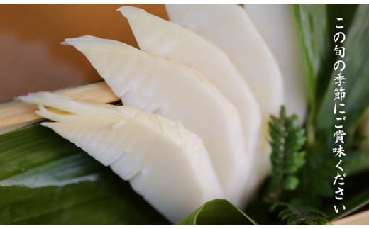 予約受付【筍農家】京都産 朝堀り湯がきたけのこ 優秀品 1KG(3-5本)皮なし