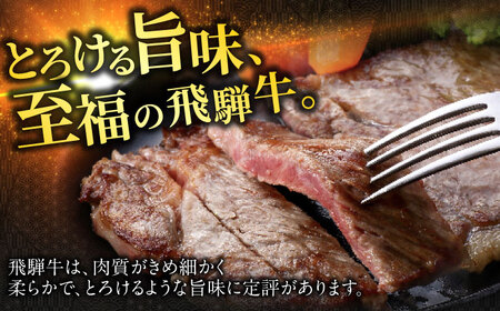 飛騨牛ステーキ600g 飛騨牛 ステーキ[ANBO025]