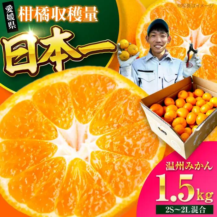 みかん みかん 1.5kg （2S-2L）[AGBC020]