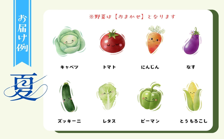 【期間限定】～旬っていちばんのごちそう～ひぐらし農場 季節の野菜便（夏）中サイズ（7-A35）