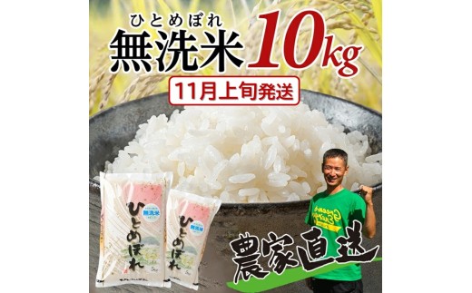 11月上旬配送／≪新米予約≫ 無洗米 ひとめぼれ 令和8年産 10kg 5kg×2袋 米 白米 ご飯 ごはん おにぎり お米 弁当 山形県産 酒田市産  農家直送 庄内 おすすめ 平良農園 山形 酒田 SD0281