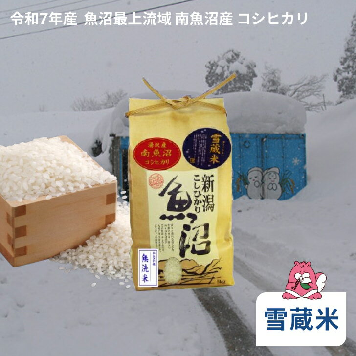 【ふるさと納税】 令和7年産 雪蔵貯蔵米〈無洗米〉 魚沼最上流域 南魚沼産 コシヒカリ 精米したてのお米をお届け 【湯沢産 コシヒカリ】