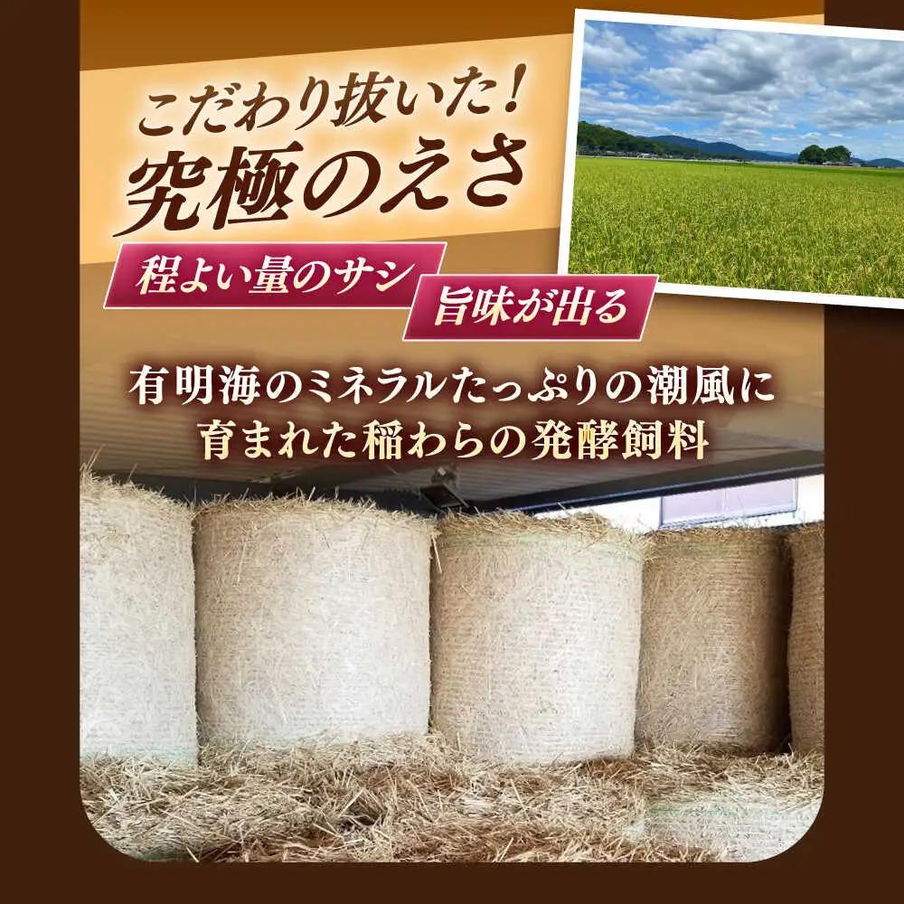 【12回定期便】黒毛和牛100%ミンチ 1kg / ひき肉  [IAX022]
