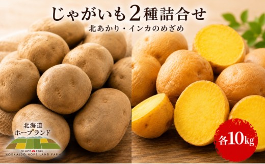 
[№5749-1169]じゃがいも2種詰合せ（北あかり10kg・インカのめざめ10kg）【十勝幕別 北海道ホープランド農場】
