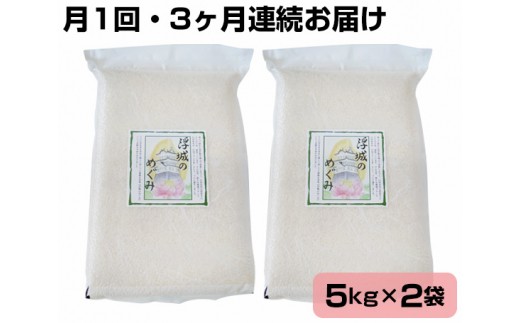 
No.085 【10kg・3ヶ月連続お届け】行田のお米　忍城献上米［むかさ商店］ ／ 精米 白米 定期便 埼玉県
