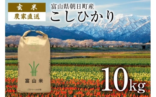 【期間限定発送】 玄米 令和7年産 こしひかり 10kg [クリーンみず穂 富山県 朝日町 34310537] お米 コシヒカリ コメ 10キロ ご飯 ごはん 農家 直送 おこめ こめ