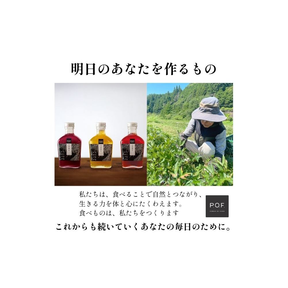 ちになるシロップ＜大和当帰×棗＞800ml 1本／ ふるさと納税 棗 シロップ 瓶 ガラス瓶 国産 食材 炭酸 大和当帰葉 有機 お湯割り 甜菜糖 ハチミツ はちみつ 送料無料 ち 奈良県 宇陀市 P