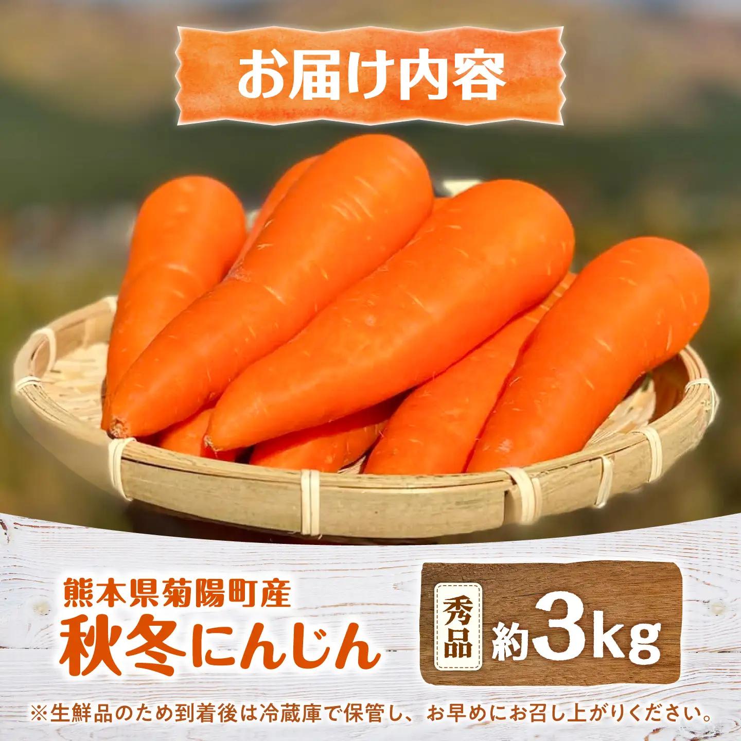 【先行予約】2026年11月より順次発送 菊陽秋冬にんじん 秀品 約3kg / にんじん BHDL003