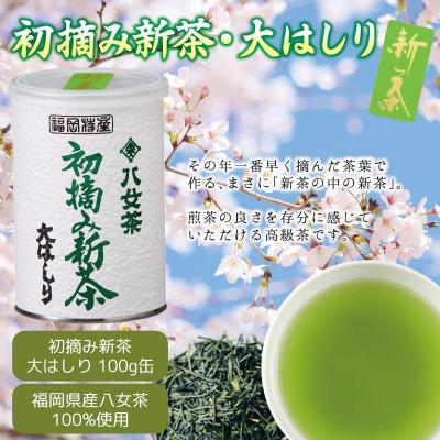 ふるさと納税 八女市 【先行受付】「2027年産 初摘み新茶」100g缶詰 2缶化粧箱入 ギフト対応 |  | 01