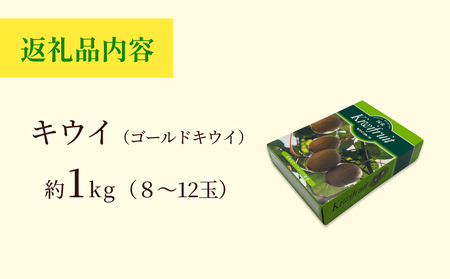 【先行予約】富山県産キウイ（ゴールドキウイ）約1kg（８～12玉） ＜11月中旬以降順次発送＞  富山県 氷見市 果物 フルーツ キウイ