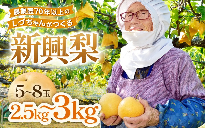 
                  【先行予約】しづちゃんが作る新興梨 5～8玉入（2.5～3kg）農業歴70年以上！ ※2026年10月上旬以降順次発送予定 [aw075-a010]
                