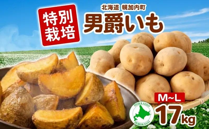 ＜2026年秋以降出荷＞ 北海道 じゃがいも 男爵 M～L 約17kg ジャガイモ 馬鈴薯 だんしゃく 芋 いも イモ ポテト 常備 野菜 根菜 農作物 お取り寄せ 産地直送 北海道産 畑農場 送料無料 幌加内