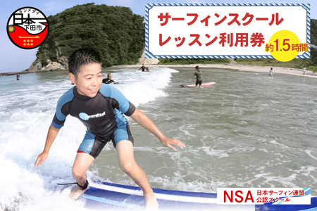 サーフィン スクール 1レッスン利用券 白浜海岸 伊豆 下田