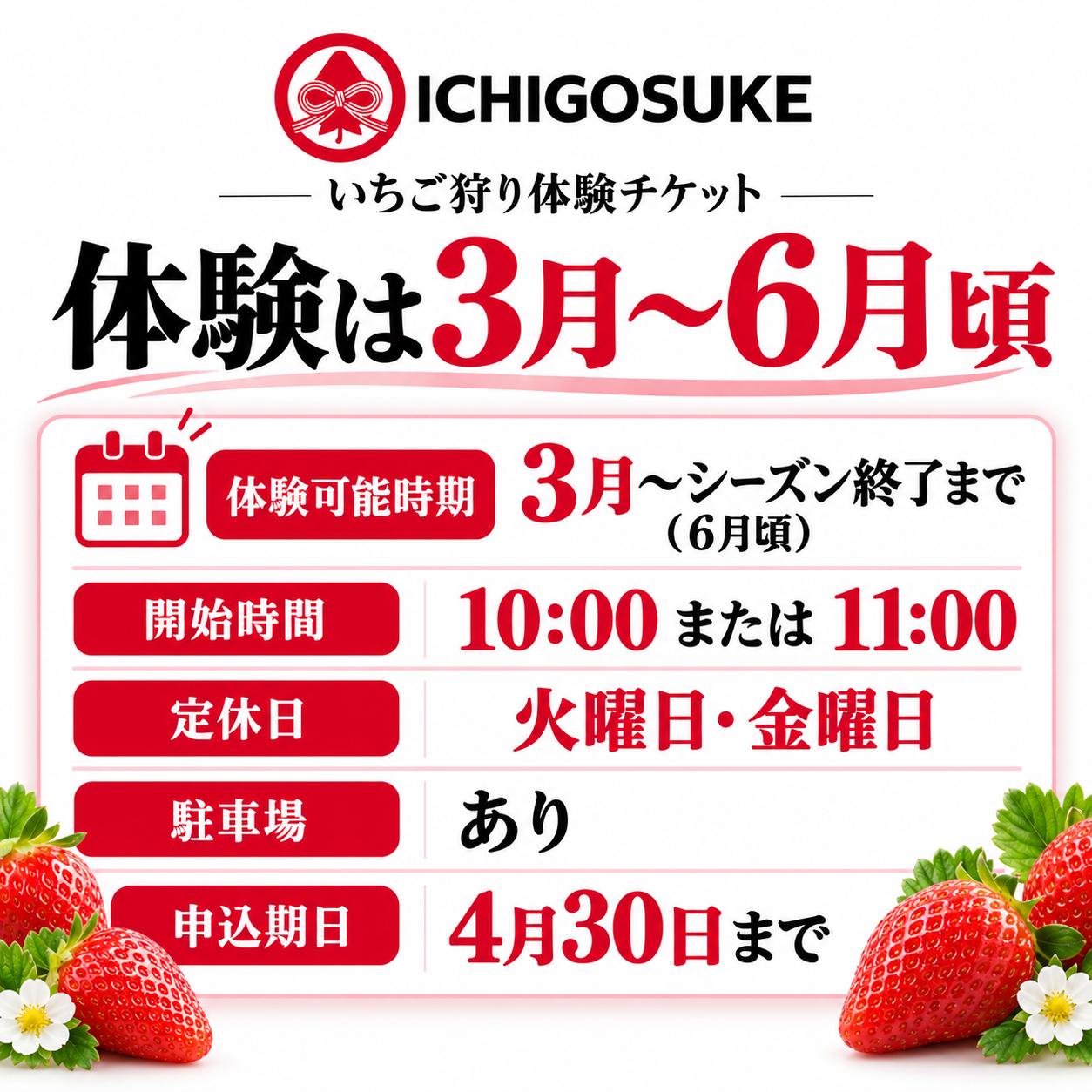 いちご狩り体験 大人1名・2名・子供1名・2名 チケット 都内から約1時間 東武動物公園すぐ 埼玉県 宮代町 