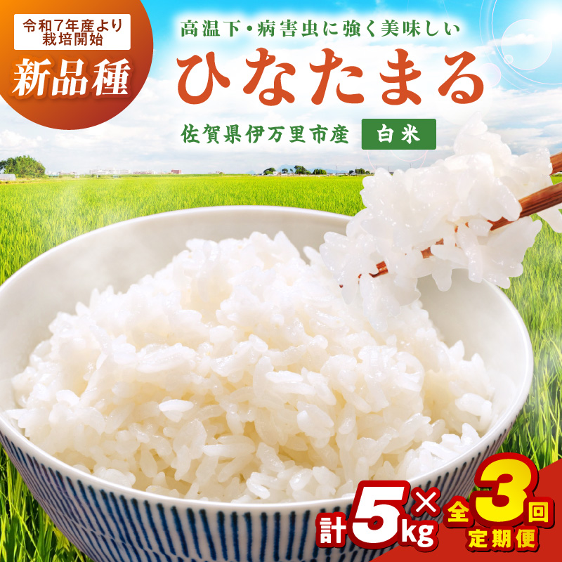 【3ヶ月定期便】伊万里産米ひなたまる精米5kg×3 999-B1068