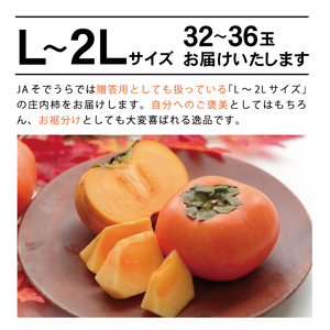SA2740　庄内柿　約7.5kg(32～36玉入)　L～2Lサイズ
