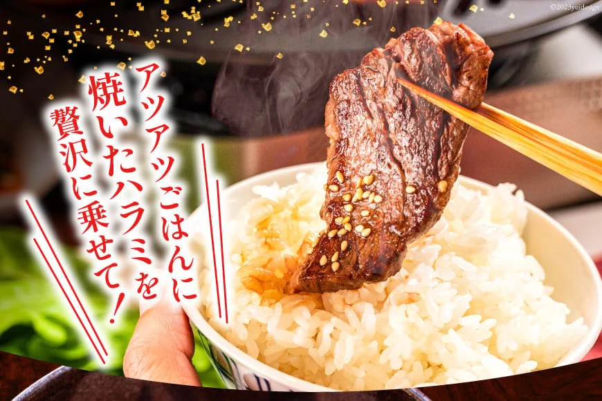 大人気！特製タレ漬 牛ハラミ たっぷり 計1.5kg(300g×5p) [モ～ランド 宮城県 気仙沼市 20563342] 牛肉 肉 焼肉 ハラミ はらみ サガリ タレ BBQ おすすめ 焼き肉 焼肉