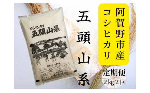 【令和7年産】【2回定期便】「米屋のこだわり阿賀野市産」コシヒカリ2kg×2回 1E04015