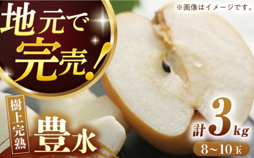 【産地直送】豊水（優品）3kg箱 2L-4Lサイズ（8-10個）ー2026年8月中旬より発送ー 長与町/つじ梨園 [ECO002] 梨 なし ナシ 豊水 ほうすい 果物 優品 完熟 3㎏ 産地直送