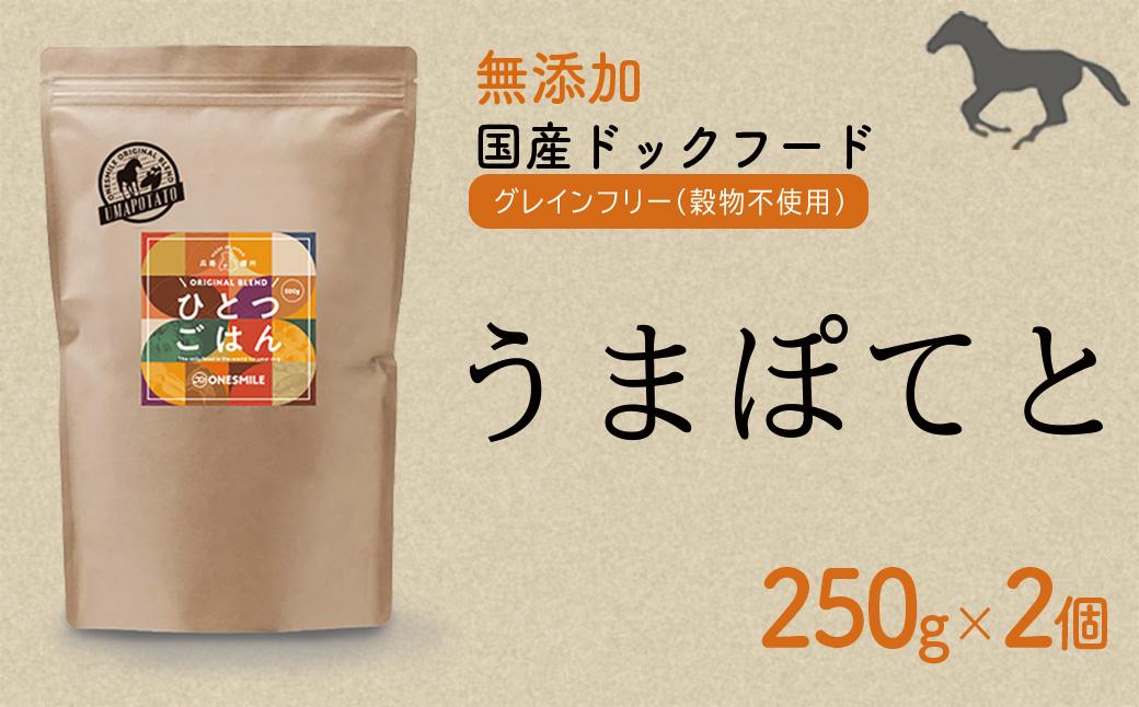 愛犬ごはん【ひとつごはん】うまぽてと500g 250g×2
