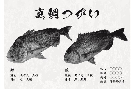 CM-014 【B３・デジタル魚拓】メモリアルフィッシュを釣れたてのままに。