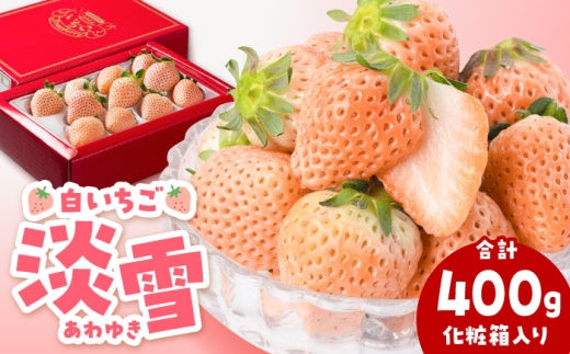 【2026年1月以降発送】【農家直送】ほんのりピンクな白いちご希少「淡雪」（化粧箱入り400g）【岸川農園】 いちご 苺 イチゴ あわゆき 淡雪 淡雪いちご しろいちご 白苺 しろ 白 フルーツ 果物 甘い あまい  アフター対応 アフターフォロー 期間限定 産地直送 国産 佐賀県産 さがいちご 九州 佐賀県 白石町  白石 [IAP004]