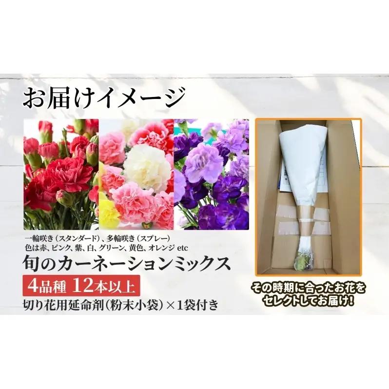 ＜10月配送＞ 北海道 カーネーション ミックス 4品種 12本以上 切り花 切花 花束 ブーケ 季節 旬 生花 フラワー アレンジメント 記念日 産地直送 つきがたふるさと花の会