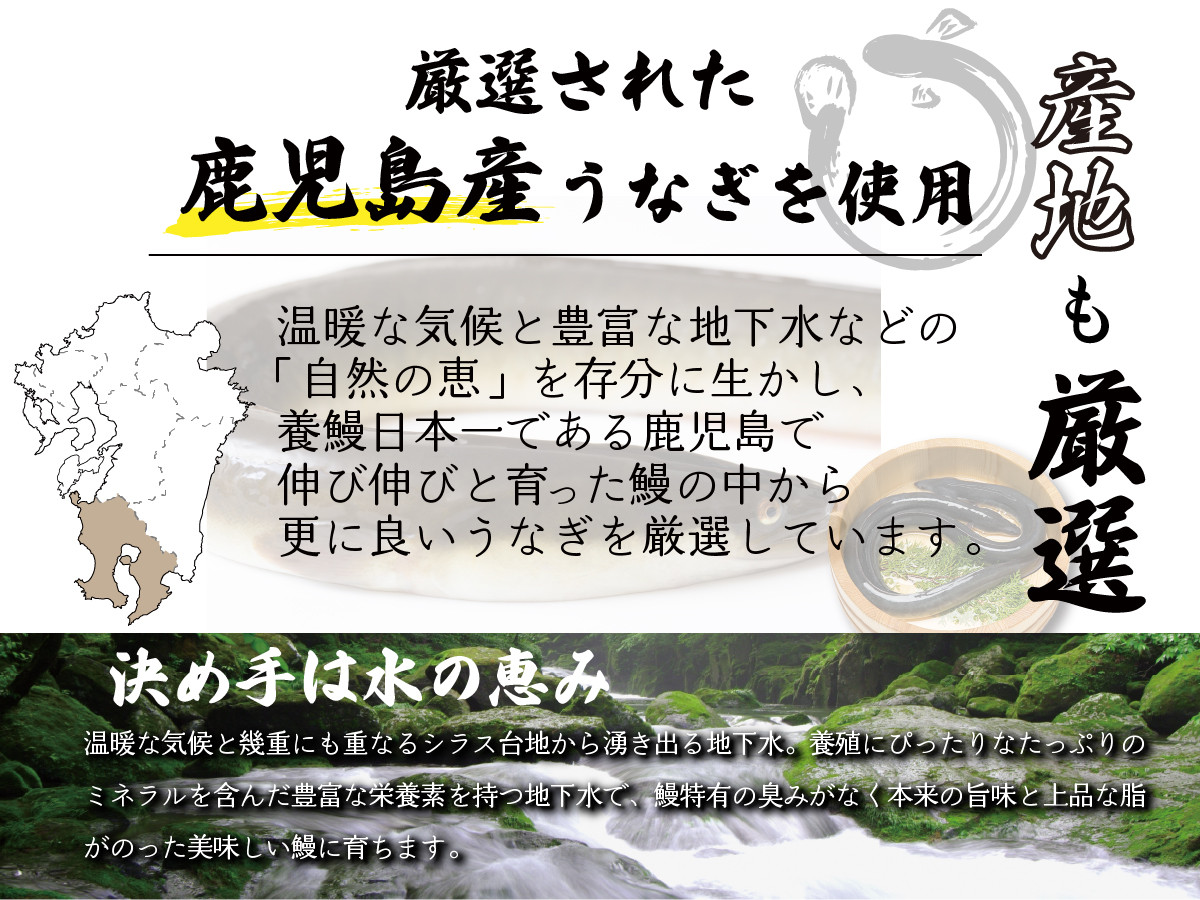 【120年老舗醤油蔵仕込みのたれと関門の塩】高級 鰻 蒲焼（250g前後）×4尾 合計1000g前後 タレボトル1本 山椒小袋 うなぎ 蒲焼き 冷凍 国産