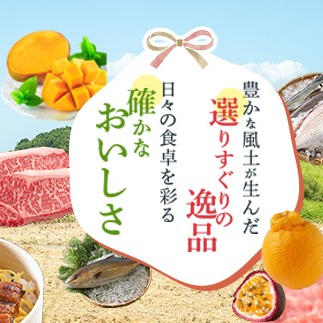 【C01011】 ＜定期便・全3回・隔月＞鹿児島県産黒毛和牛ホルモンミックス(計約2.4kg・約400g×2P×3回分)_イメージ2