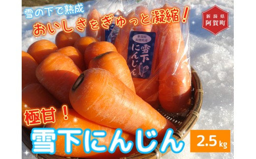 雪下にんじん（ 2.5 kg ）