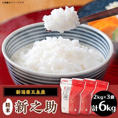 ふるさと納税 五泉市 令和7年産 新潟県五泉産　新之助6kg