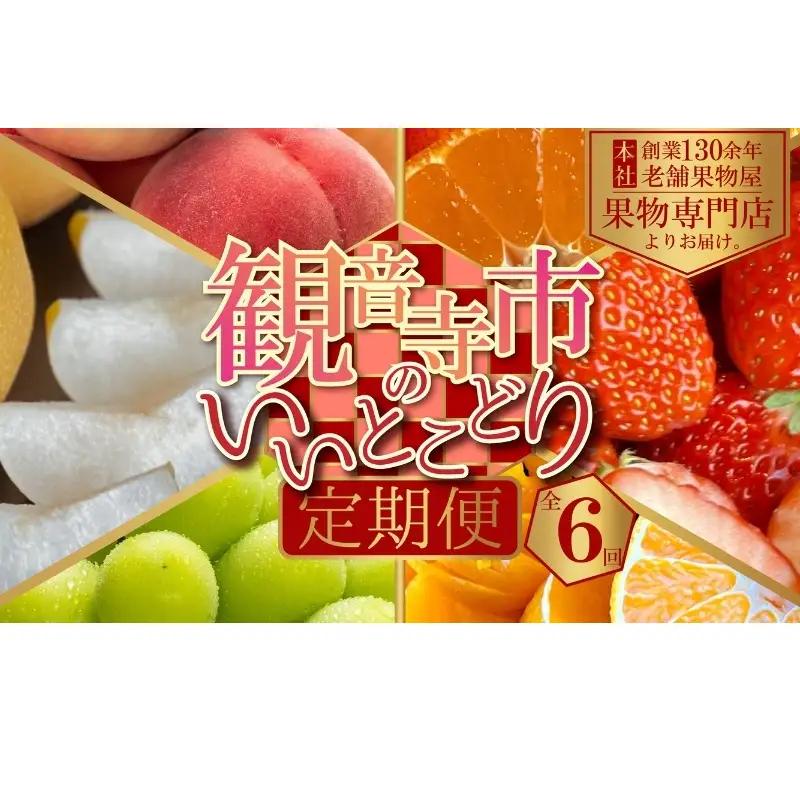 フルーツ定期便 桃 梨 シャインマスカット いちご せとか フルーツ定期便【全6回】【定期便】