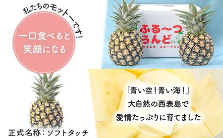 2024年 先行予約 ピーチパイン 2玉 ★西表島ふる～つらんど★不動の人気No.1 甘熟 果物 フルーツ パイン